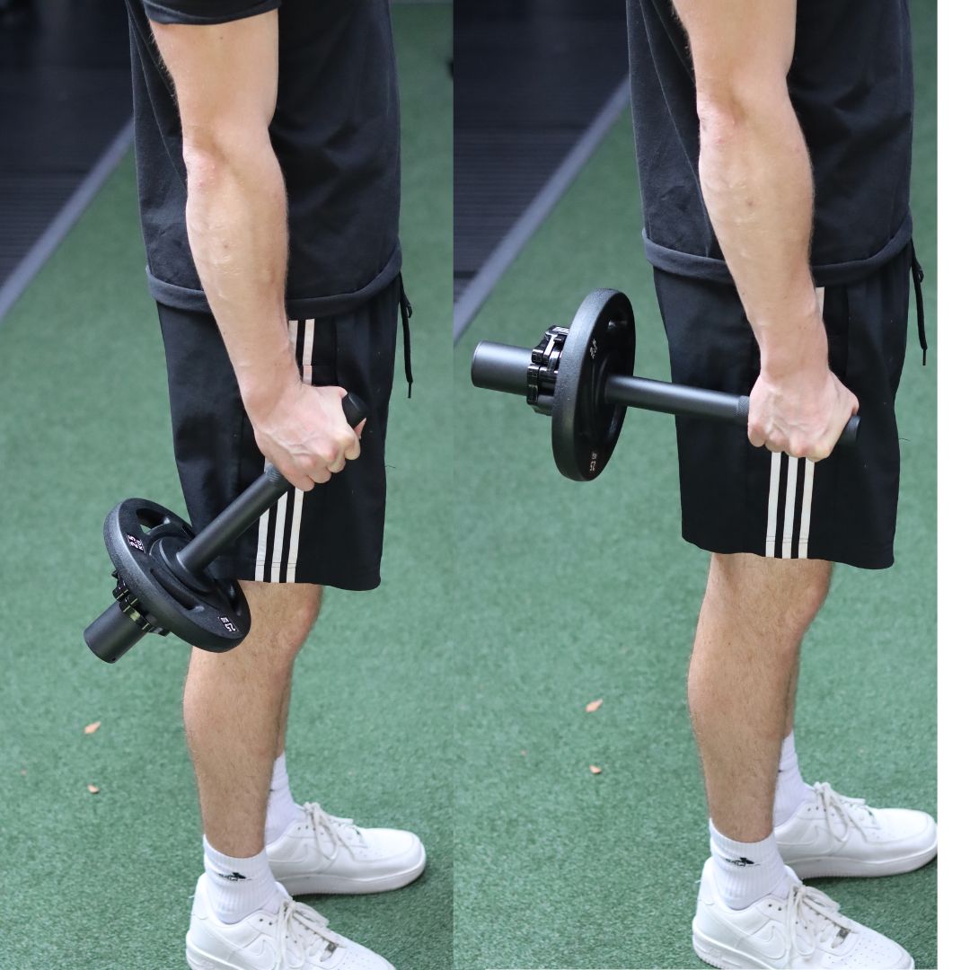 Forearm Lever